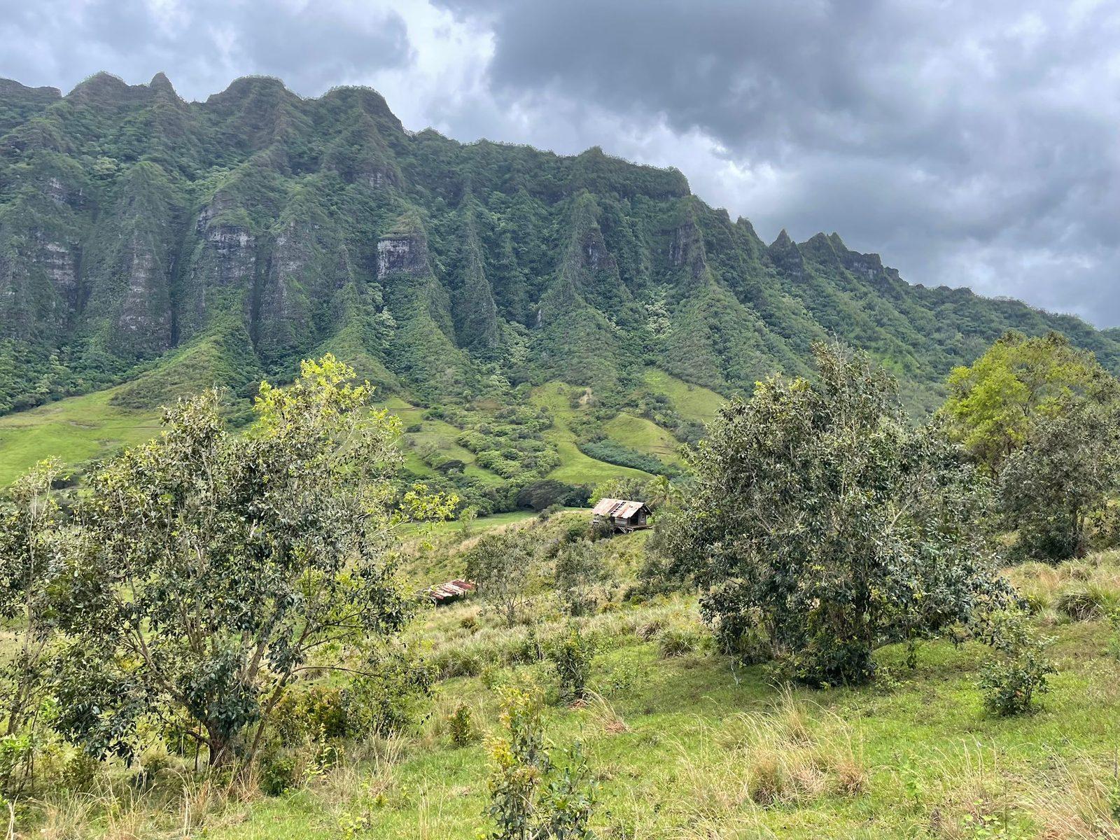 Kualoa Ranch and the dramatic Ko'olau ridgeline