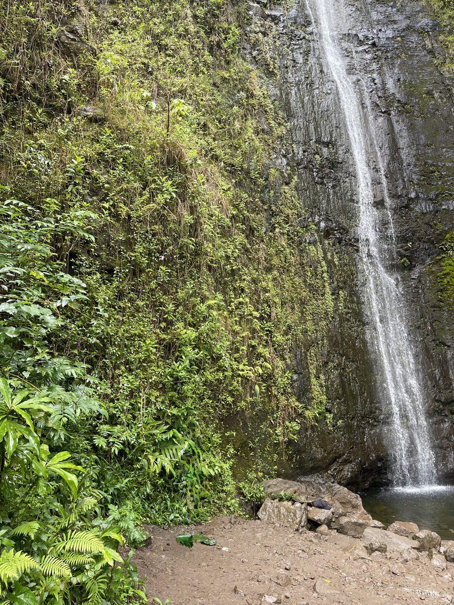 Lush Hawaiian jungle and waterfall