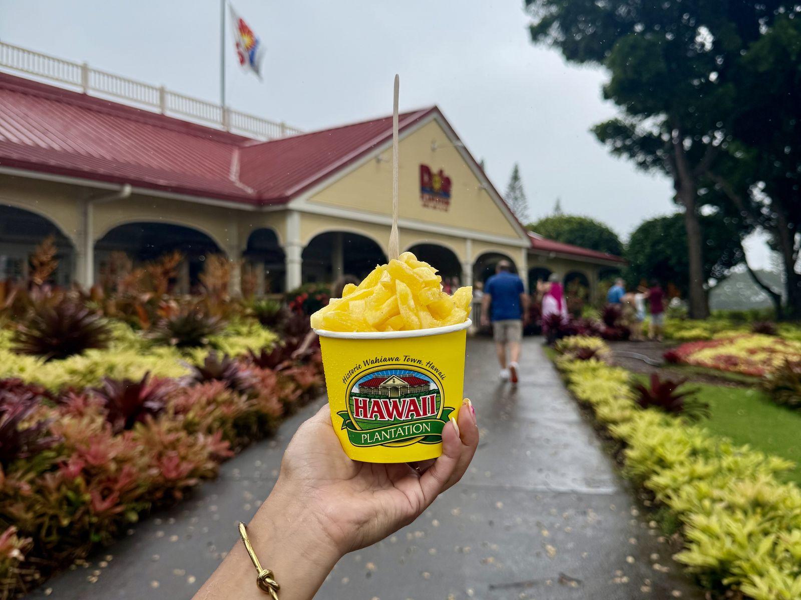 A Dole Whip at Dole Plantation